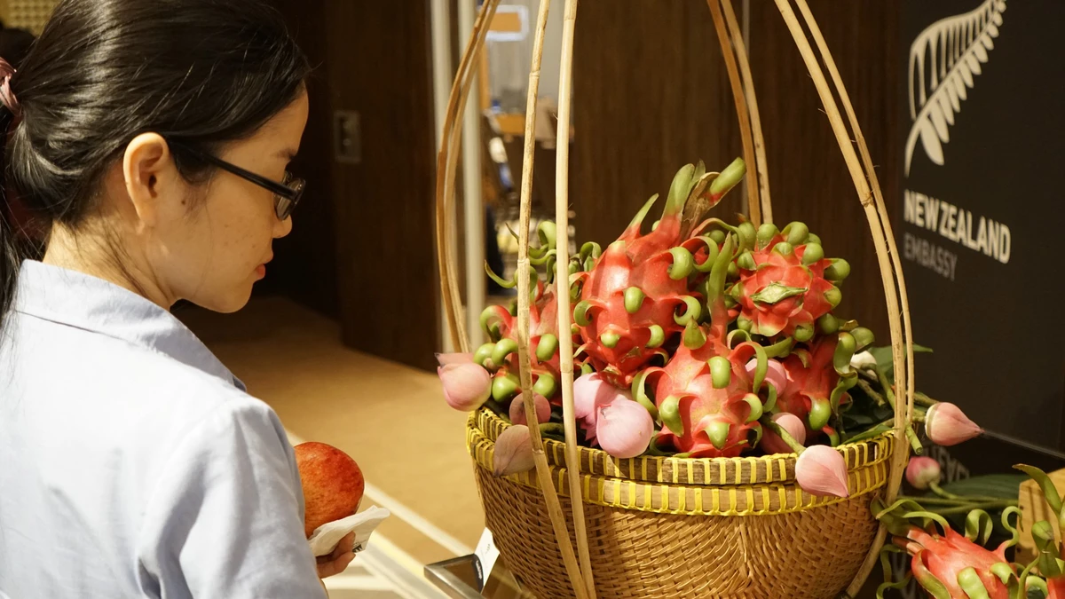 New Zealand is committed to supporting Vietnam in developing a comprehensive value chain for dragon fruit – Photo: LINH TÔ
