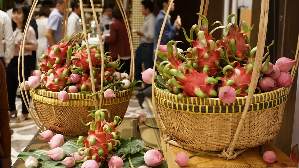 In the future, Vietnam will have higher-quality dragon fruit varieties than it currently does – Photo: LINH TÔ